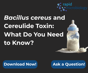 Download Bacillus cereus and Cereulide Toxin What Do You Need to Know