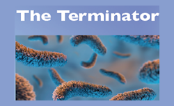 Sigma MM™ Molecular Medium - Specimen to Safe DNA/RNA in a Single Step!