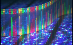 Eurofins Genomics NGS Services