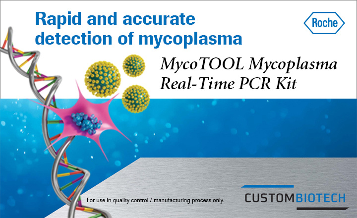 Rapid Accurate Mycoplasma Detection