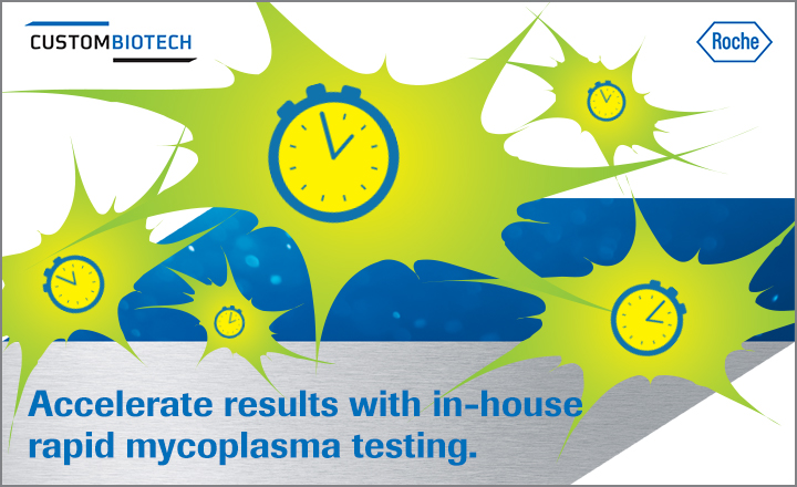 In-house Mycoplasma Testing