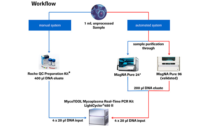 MycoTOOL Mycoplasma Real-Time PCR Workflow