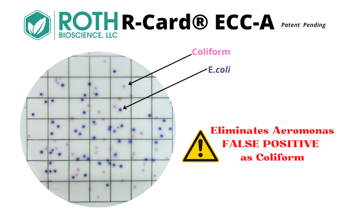 R Card ECC-A