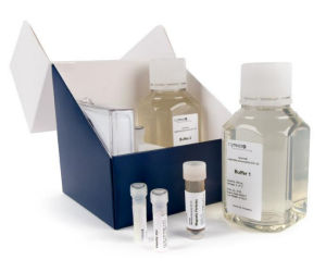 rqmicro Legionella Kit