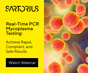 watch webinar on real time PCR mycoplasma testing