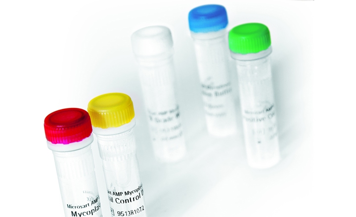 Finding the best Mycoplasma NAT kit for cell culture contamination