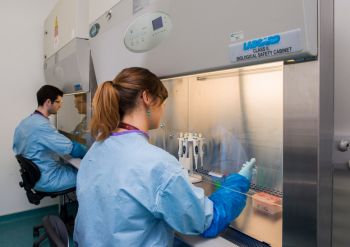 Laboratory at Sartorius Stedim BioOutsource