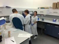 Enteric Bio