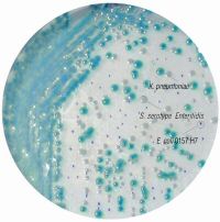 Fluka HiCrome EC O157 selective agar
