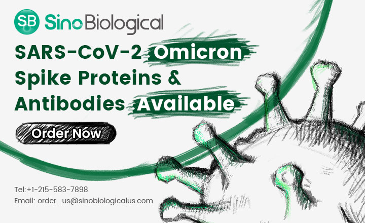 Omicron variant RBD and Spike proteins