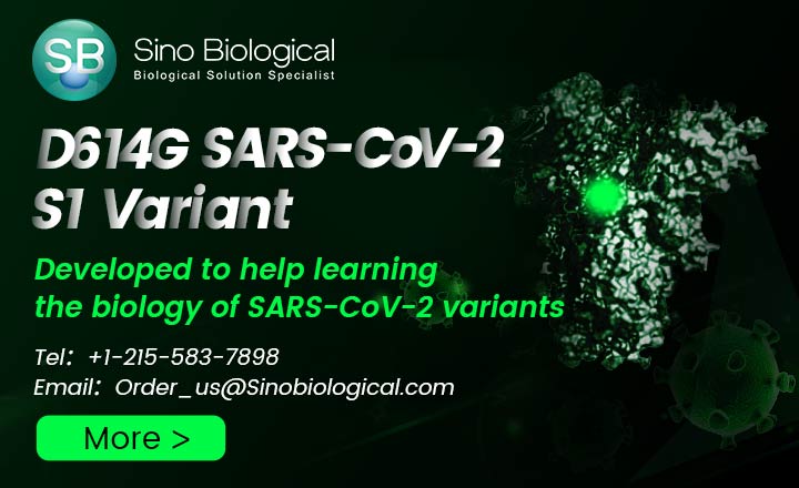 Sino Biological SARS-CoV-2 Antigens