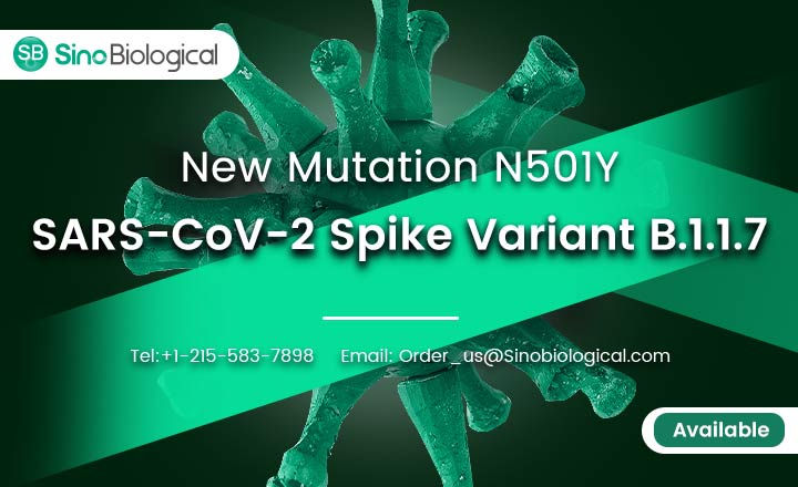 SARS-CoV-2 Spike Mutant Proteins