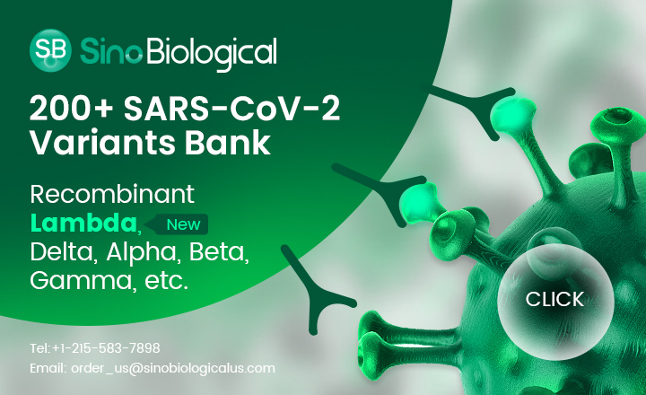 Recombinant SARS-CoV-2 Variant Bank