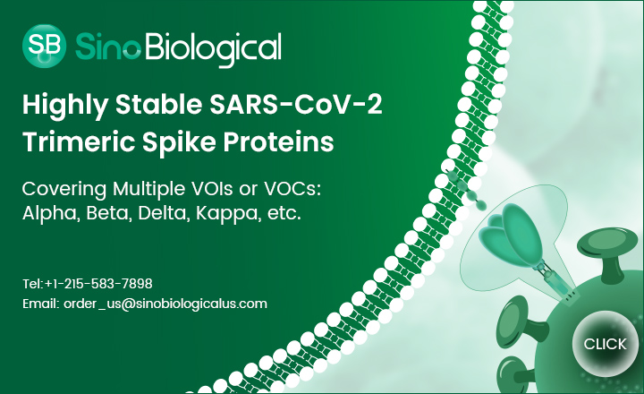 Highly stable SARS-CoV-2 trimeric spike proteins from Sino Biological