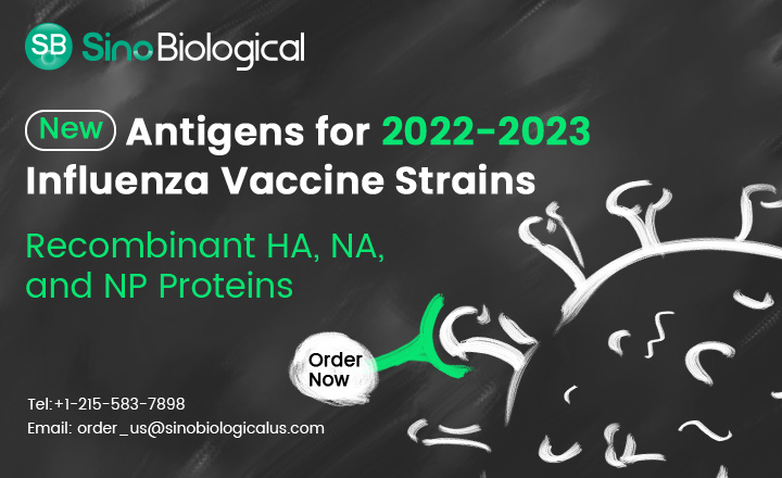 Sino Biological Recombinant Antigens for 2022-2023 Influenza Vaccine Strains