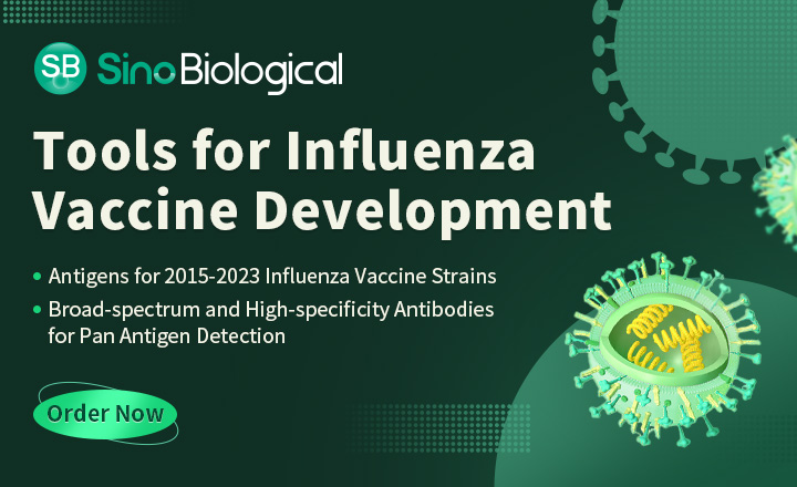 Sino Biological Tools for Influenza Vaccine Development
