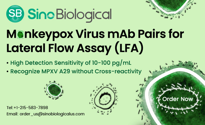 Sino biological monkeypox virus mAb pairs for lateral flow assay