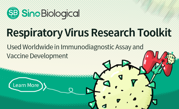 Sino Biological research reagents for respiratory viruses