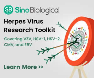 Sino Biological Herpes Virus Research Toolkit