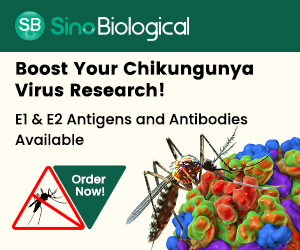 Chikungunya virus antigens and antibodies are available from Sino Biological
