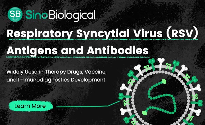 Respiratory Syncytial Virus Antigens and Antibodies