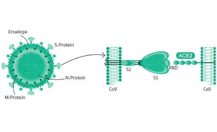 Sino Reagents