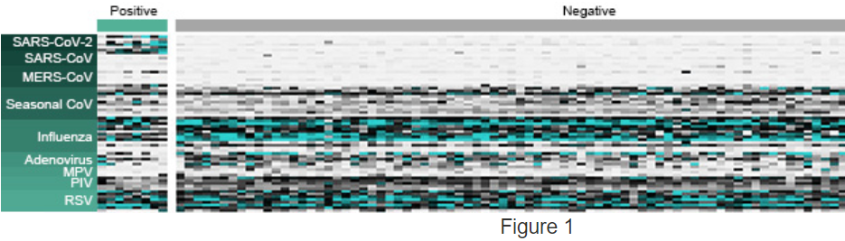 2020_Sinommune_heatmap