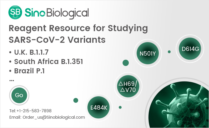 Studying SARS Variants E484K H69 V70 N501Y D614G