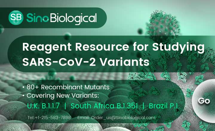 Reagents for Spike Mutant Protein Variants Brazil South Africa UK Mink