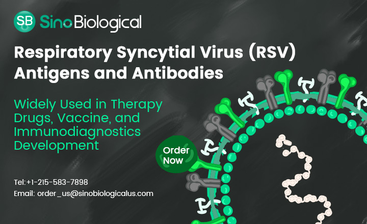 RSV Antigen and Antibodies