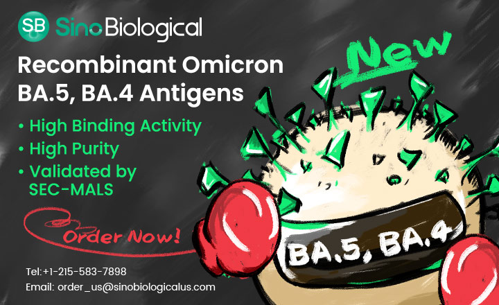 Sino Biological Recombinant Omicron BA5 and BA4 Antigens