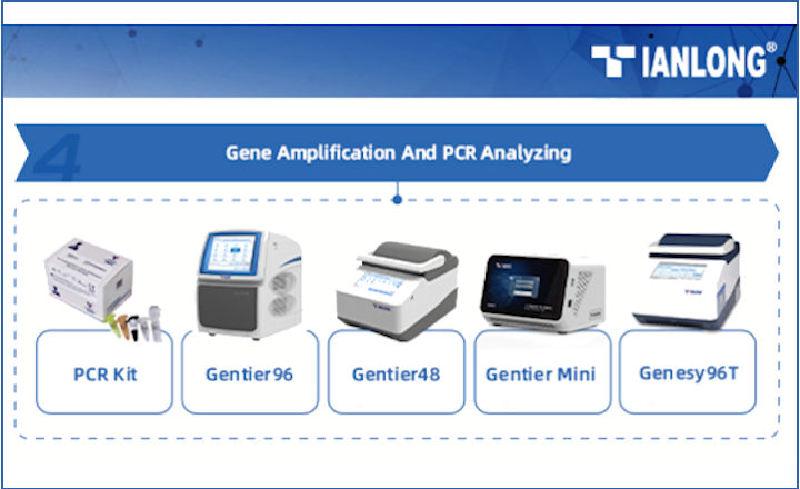 Tianlong Real Time PCR Systems