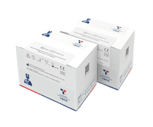 Human Papilloma Virus PCR Test Kit