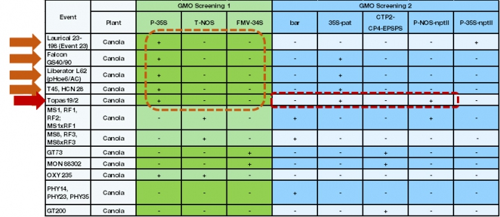 GMO-Table-Analysis