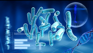 Bacterial identification