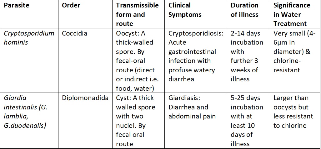 Giardia detection in water,