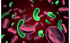 Blood Culture Contamination