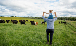 Salmonella Spread Risk From Livestock