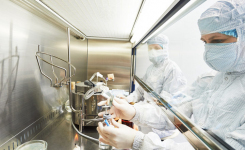 Sterility Testing of Cell and Gene Therapy Products