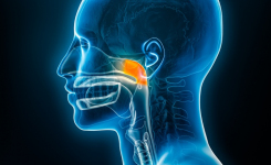 Antibiotics and age influence the microbiome in recurrent ear infections