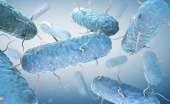 CLSI recommends carbapenemase testing in addition to MIC for CRE