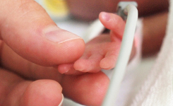 Reduction of necrotizing enterocolitis in preterm infants given probiotic