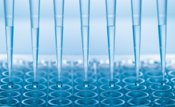 Comparative analysis of 3 commercial AST for B cepacia Complex