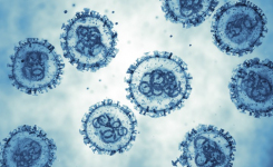 Key Information on Hantavirus Infections