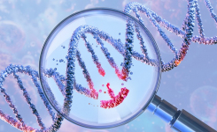 Molecular serotyping using Cas9-targeting of capsular locus