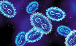 Standardized metadata is key for pandemic preparedness