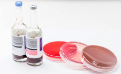 Comparison of Rapid Phenotypic AST Platforms Direct from Blood Cultures