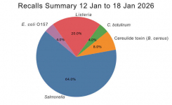 pi chart summary 12 Jan to 18 Jan 2026