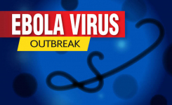 Ebola Virus Outbreak