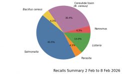 pi chart summary  2 Feb to 8 Feb 2026